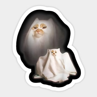 Cat meme Sticker